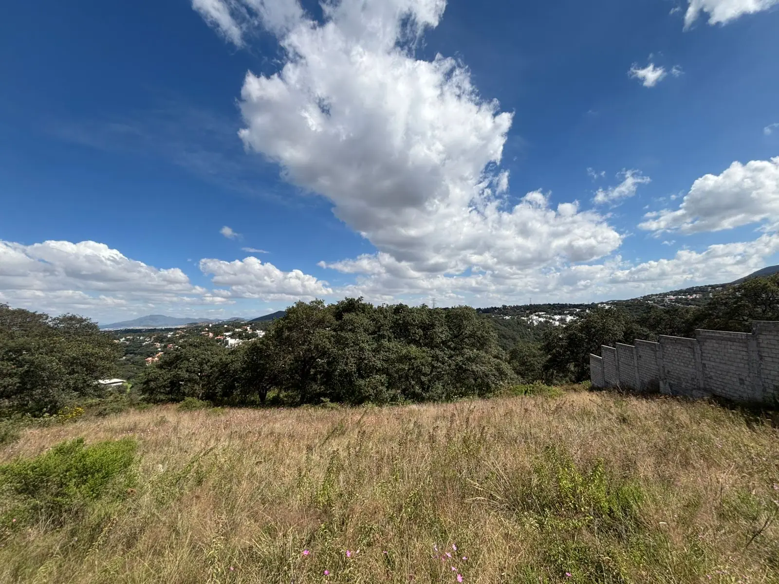 WhatsApp Image 2025-10-28 at 00.00.33