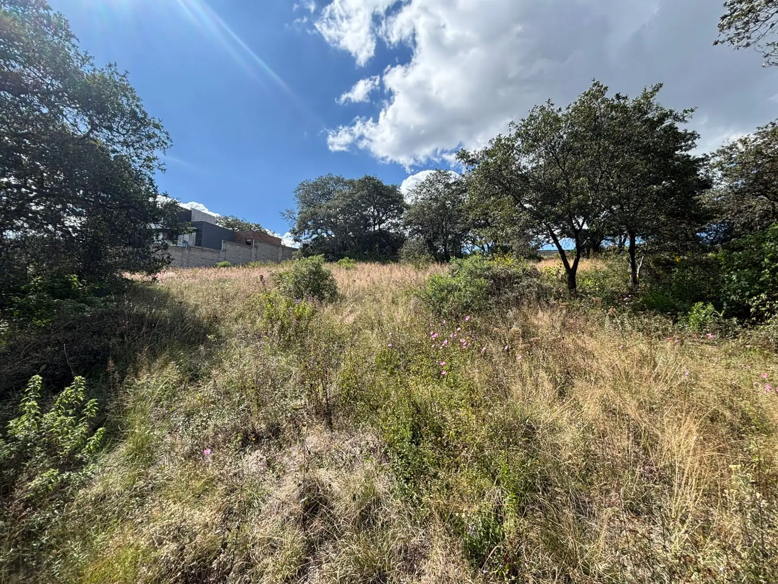 WhatsApp Image 2025-10-28 at 00.00.34 (1)