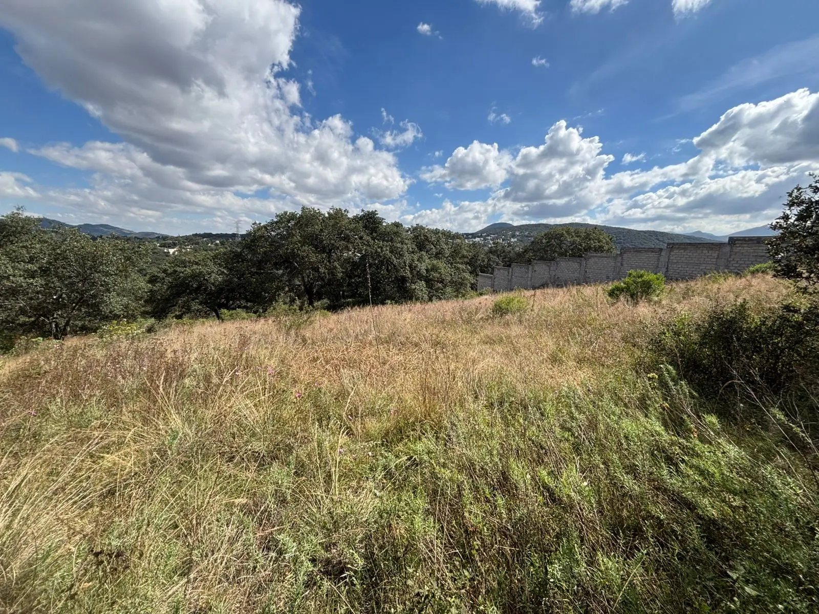 WhatsApp Image 2025-10-28 at 00.00.34 (2)