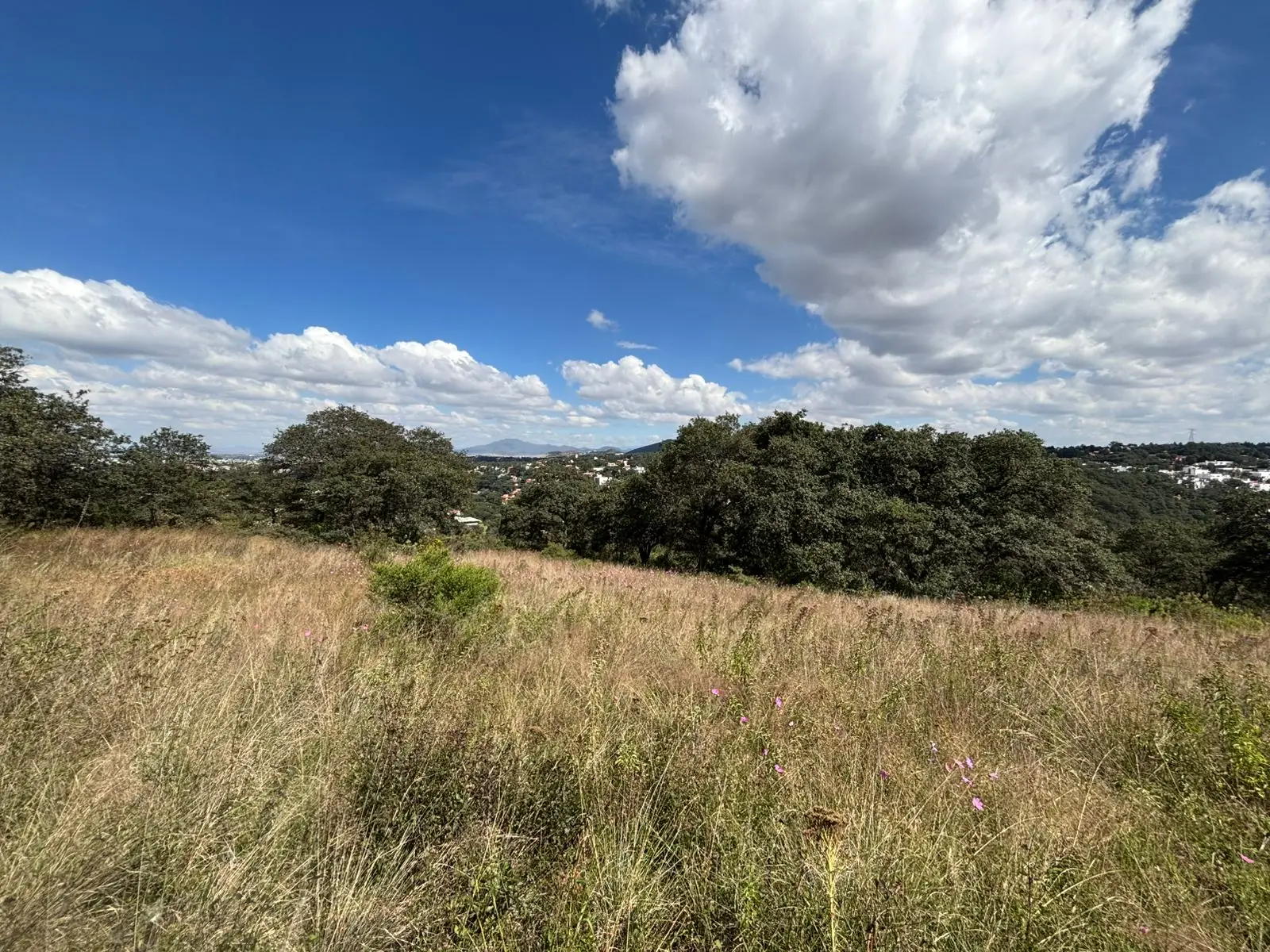 WhatsApp Image 2025-10-28 at 00.00.34 (3)